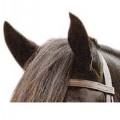 SABRE ETON FLAT BROWBAND